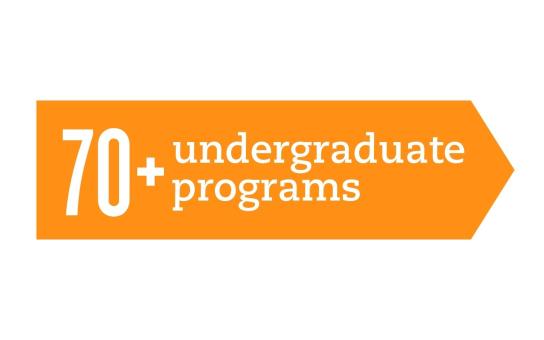 70 plus undergraduate programs infographic
