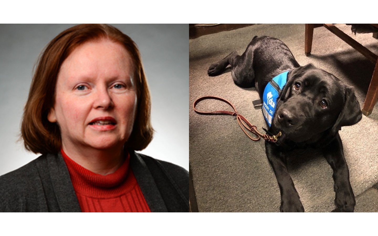 Roosevelt University adjunct professor Mary Boland and therapy dog Hatty