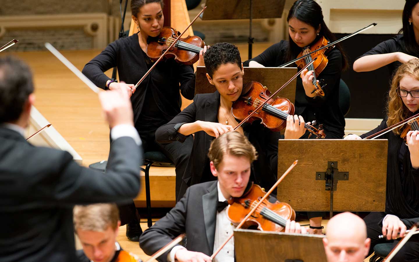 violinists in an orchestra