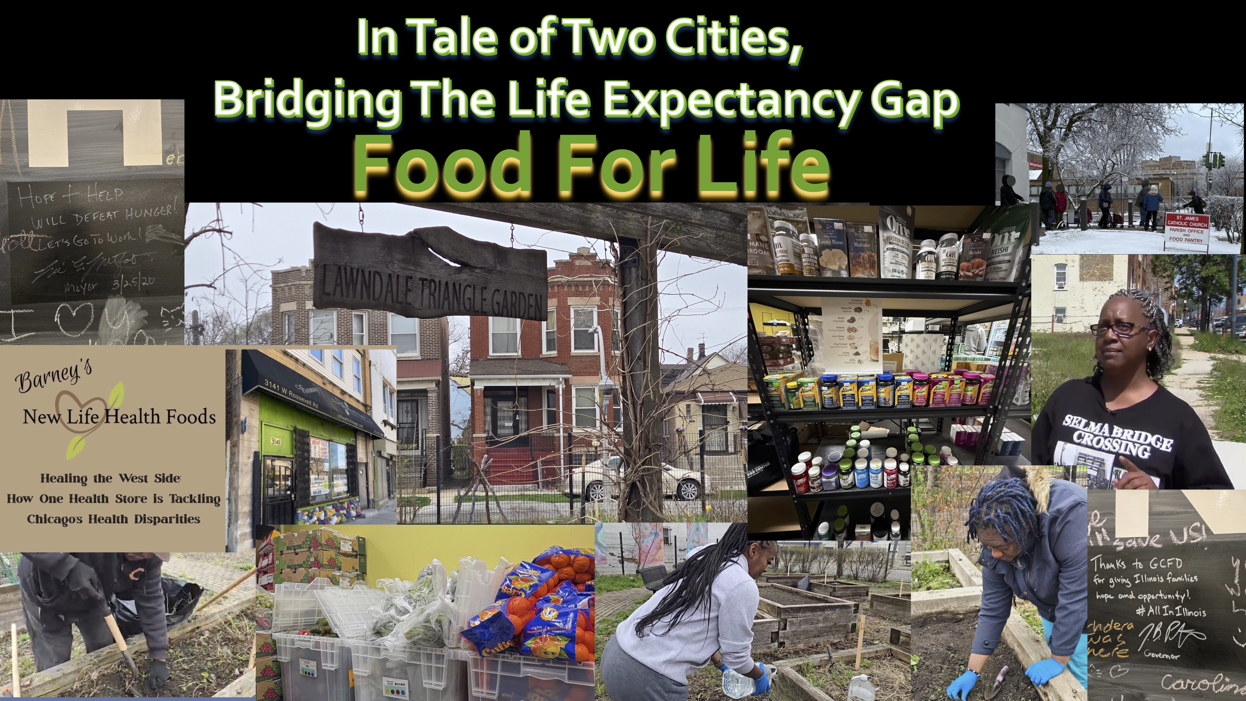 Professor Fountain led Roosevelt journalism students in a project on efforts to bridge the "life gap" in Chicago. (site under construction)