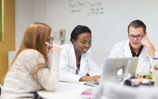 Pharmacy student studying in a group 