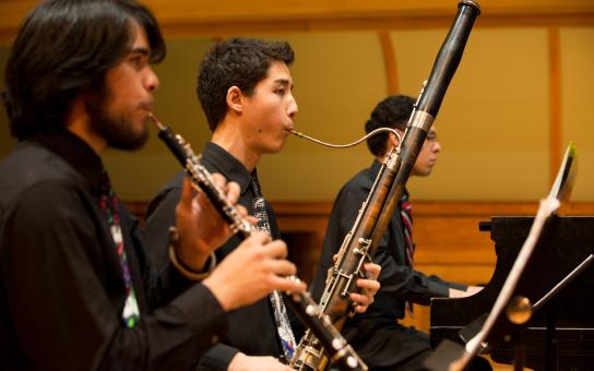 Bassoonist performing within a woodwind section