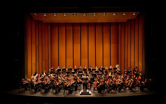 Large orchestra arrangement performing on stage at the Auditorium Theatre