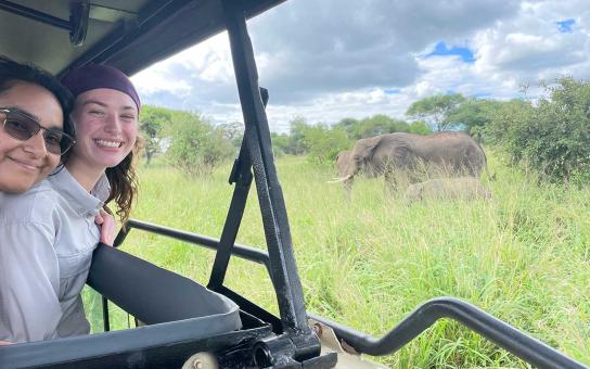 Safari-goers looking out from the side of a vehicle at an elephant