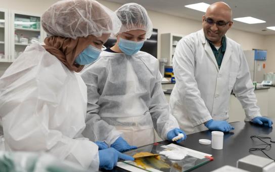 Science or Pharmarcy students and a faculty member observing two students working