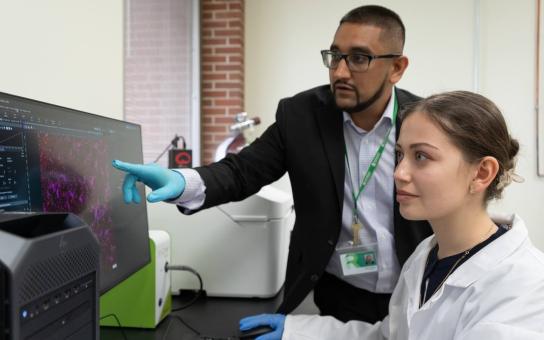 Science or Pharmarcy students examining a scanned image on a screen