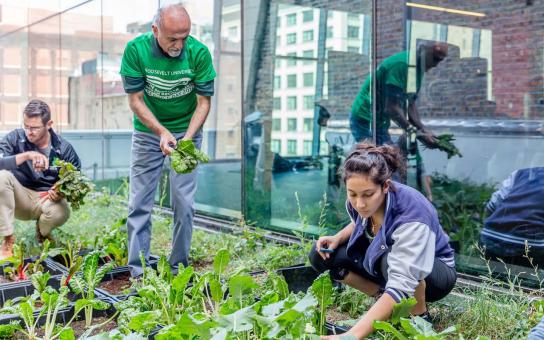 President Ali and students working in garden