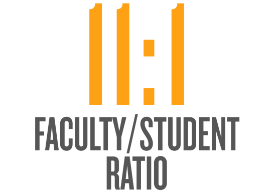 11-to-1 faculty-to-student ratio