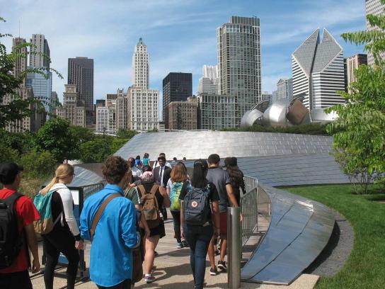 Chicago Summer Skyline