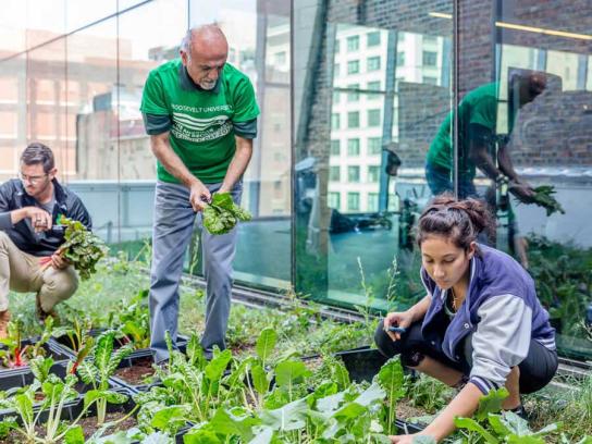 Ali and students working in garden - Social Justice